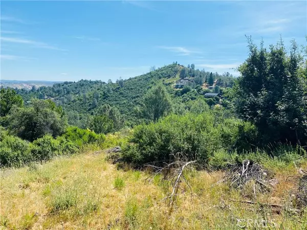 Kelseyville, CA 95451,4970 Iroquois Trail