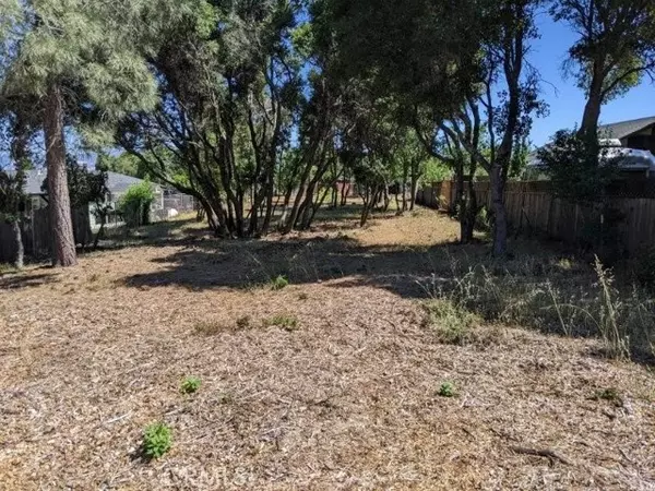 Kelseyville, CA 95451,3120 Riviera Heights