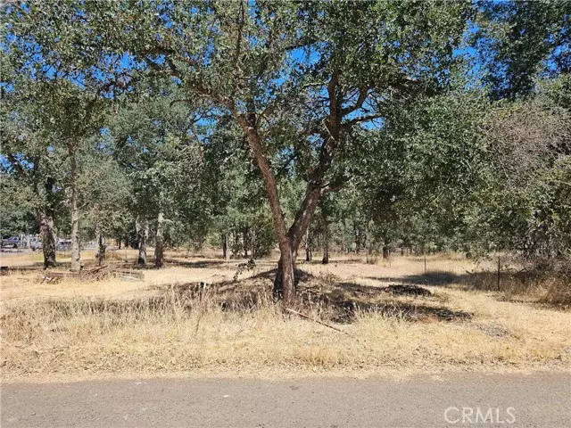 Clearlake, CA 95422,16245 14th