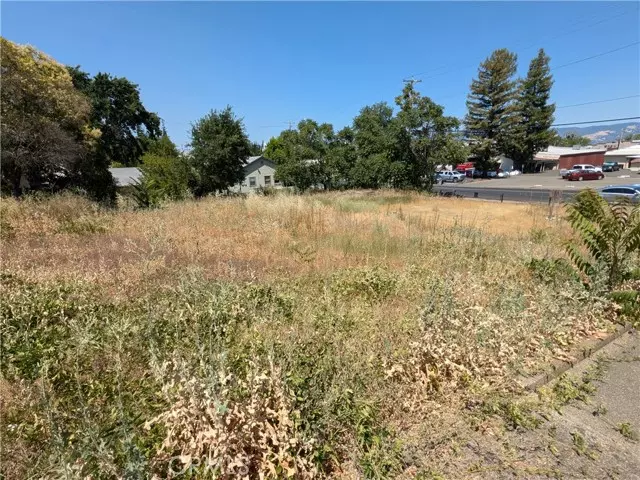 455 N Forbes, Lakeport, CA 95453