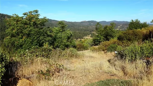 Cobb, CA 95426,15645 Summit