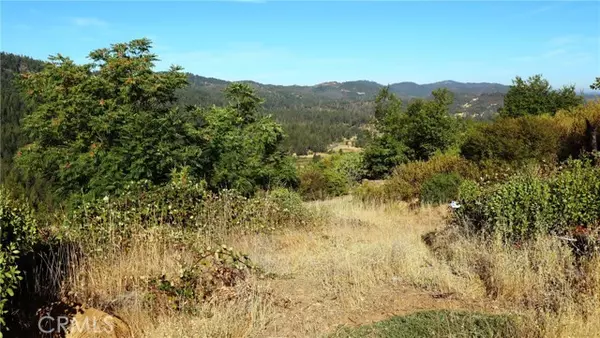 Cobb, CA 95426,15645 Summit