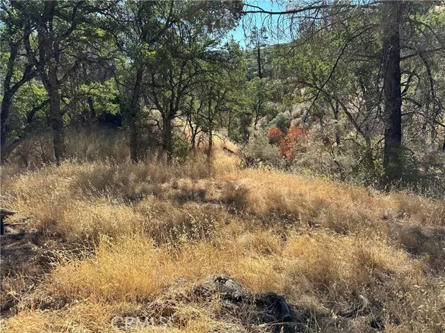 Clearlake Oaks, CA 95423,452 Watertrough