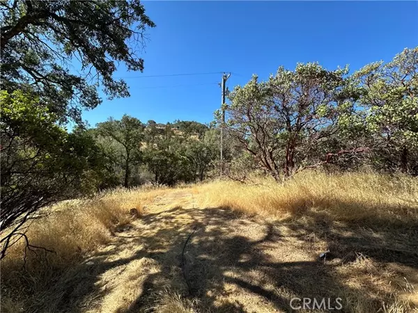 Clearlake Oaks, CA 95423,452 Watertrough