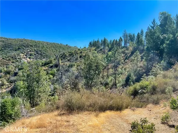 Upper Lake, CA 95485,11233 Pitney Ridge