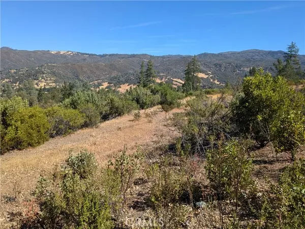 Upper Lake, CA 95485,1725 Clover Valley