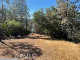 Clearlake Oaks, CA 95423,48 Sandalwood