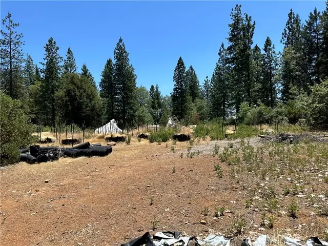 Upper Lake, CA 95485,26949 Bear Creek