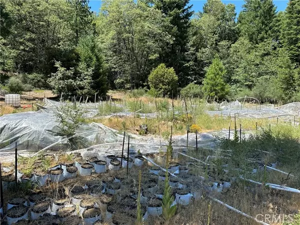 Upper Lake, CA 95485,26897 Bear Creek