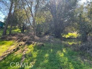 14212 Woodland, Clearlake, CA 95422