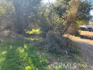 Clearlake, CA 95422,14212 Woodland