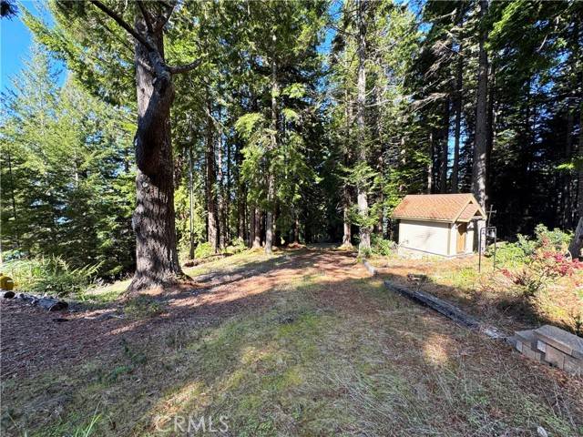 24250 Pacific Heights Drive, Westport, CA 95488