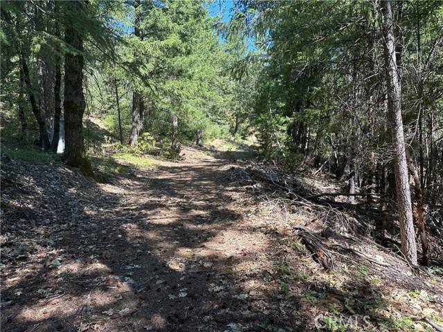Upper Lake, CA 95485,27257 19N16