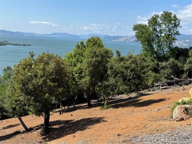 Kelseyville, CA 95451,3309 Westridge