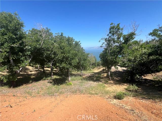3031 Westridge,  Kelseyville,  CA 95451