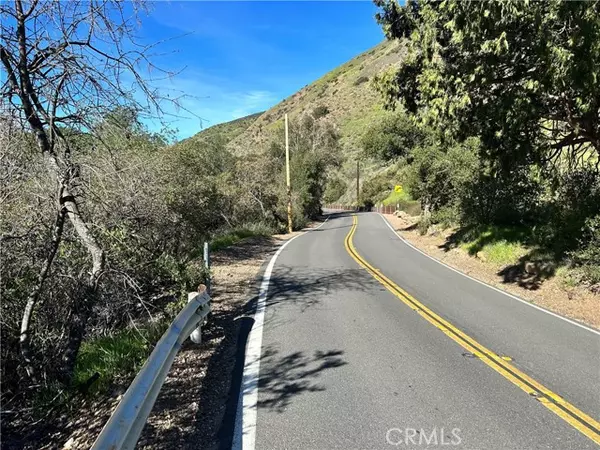 Silverado Canyon, CA 92676,31216 Silverado Canyon