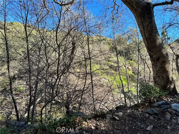 Silverado Canyon, CA 92676,31216 Silverado Canyon