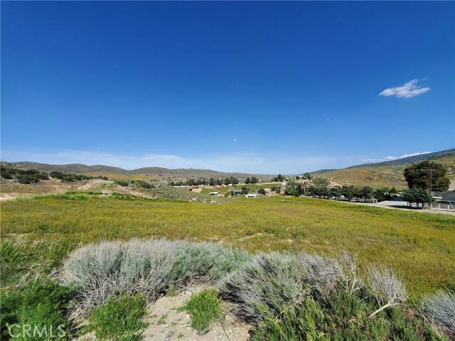 87 W 87th, Leona Valley, CA 93551