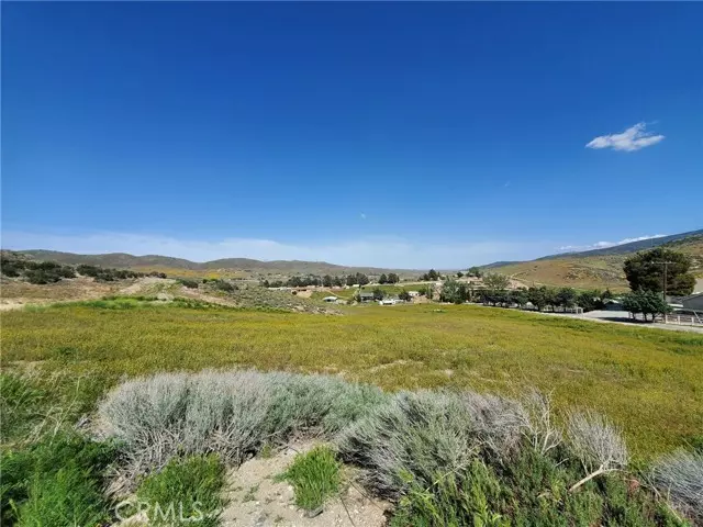 Leona Valley, CA 93551,87 W 87th