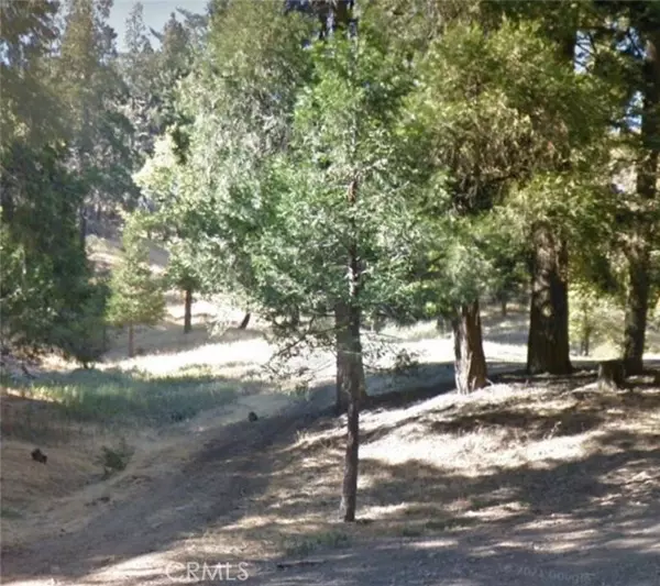 0 Burnt Mill Canyon, Cedarpines Park, CA 92322