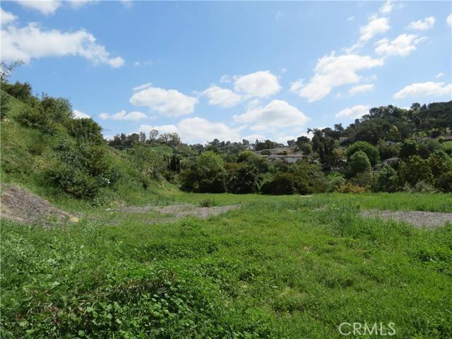 Mount Washington, CA 90065,3597 Loma Lada Dr