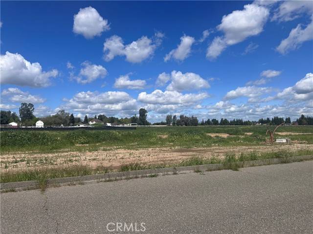 Atwater, CA 95301,1 White Crane