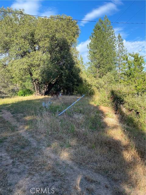 11098 Smith Station Road, Coulterville, CA 95311