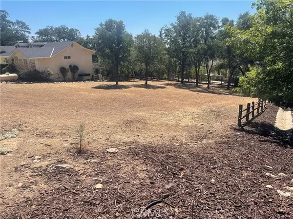 460 Live Oak,  Angels Camp,  CA 95222