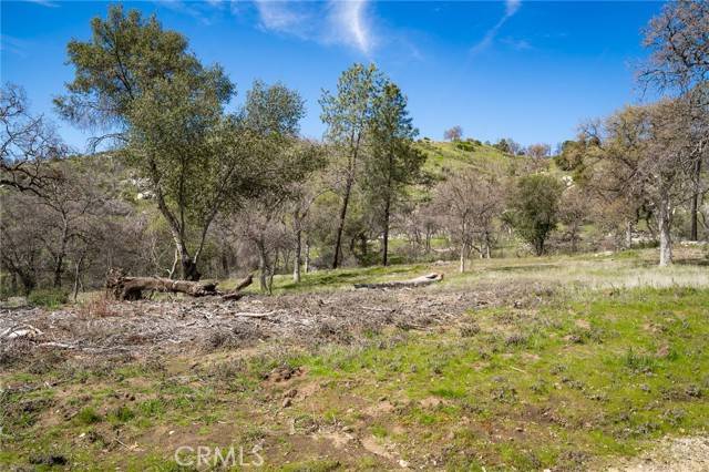 3831 Broncho Hollow, Mariposa, CA 95338