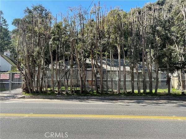 1831 Benedict Canyon Drive, Beverly Hills, CA 90210