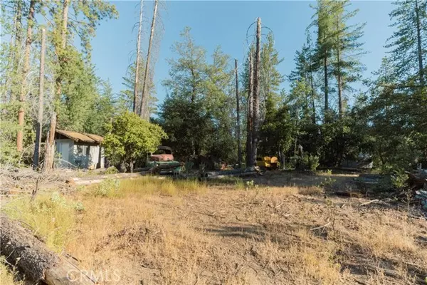 10902 Stout, Coulterville, CA 95311