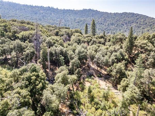 Mariposa, CA 95338,5 AC Parker