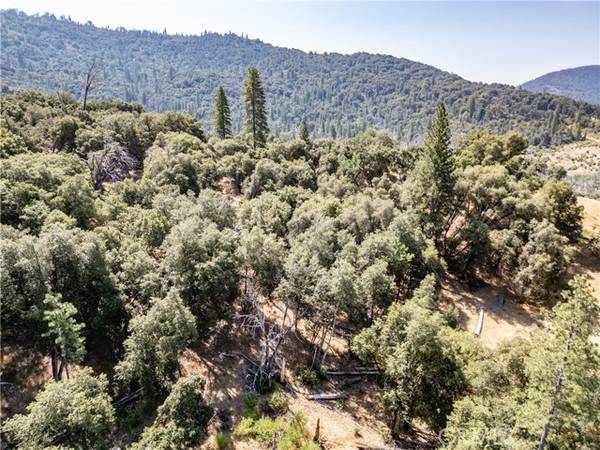 Mariposa, CA 95338,5 AC Parker