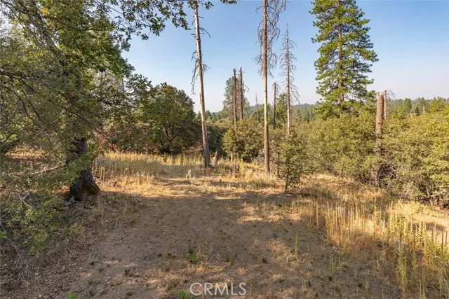 0 Vista Lago Ln. Lot #15, Mariposa, CA 95338