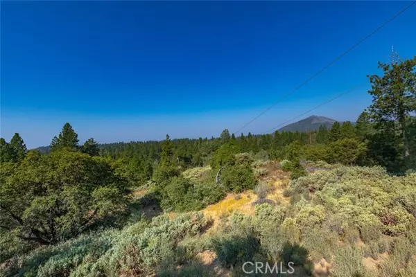 Mariposa, CA 95338,0 Vista Lago Ln. Lot #15