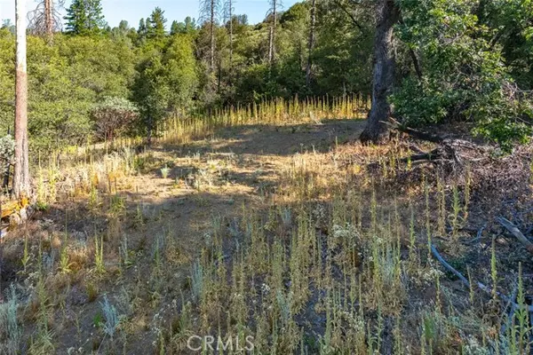 Mariposa, CA 95338,0 Vista Lago Ln. Lot #15