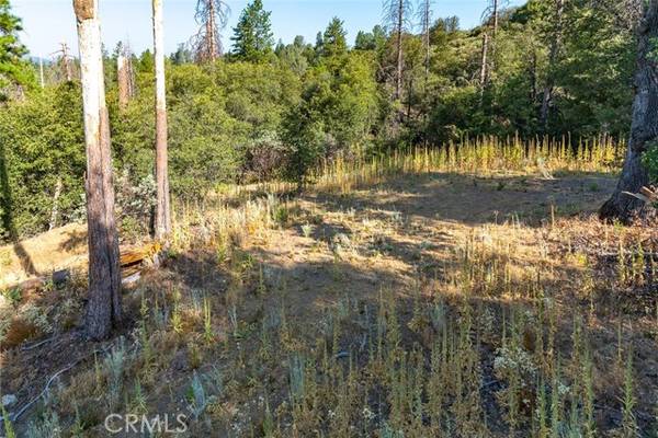 Mariposa, CA 95338,0 Vista Lago Ln. Lot #15