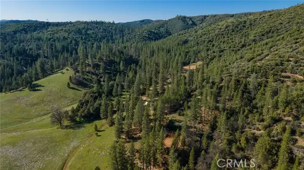 Coulterville, CA 95311,0 Bull Creek