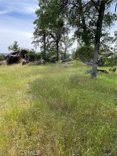 4371 Burl, Mariposa, CA 95338