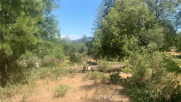 Mariposa, CA 95338,3038 Country