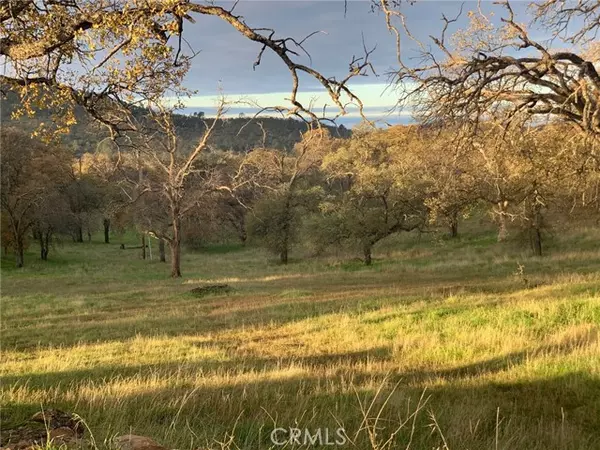 Catheys Valley, CA 95306,3295 Blue Oak