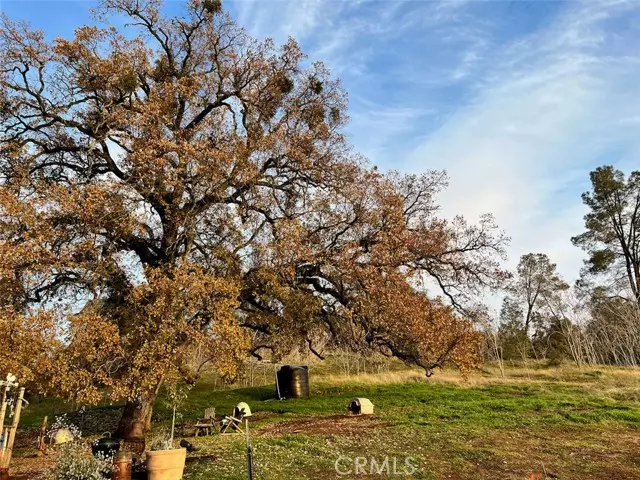 5375 Pearce Ranch, Mariposa, CA 95338