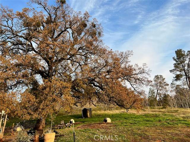 5375 Pearce Ranch, Mariposa, CA 95338