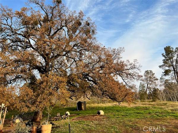 5375 Pearce Ranch, Mariposa, CA 95338