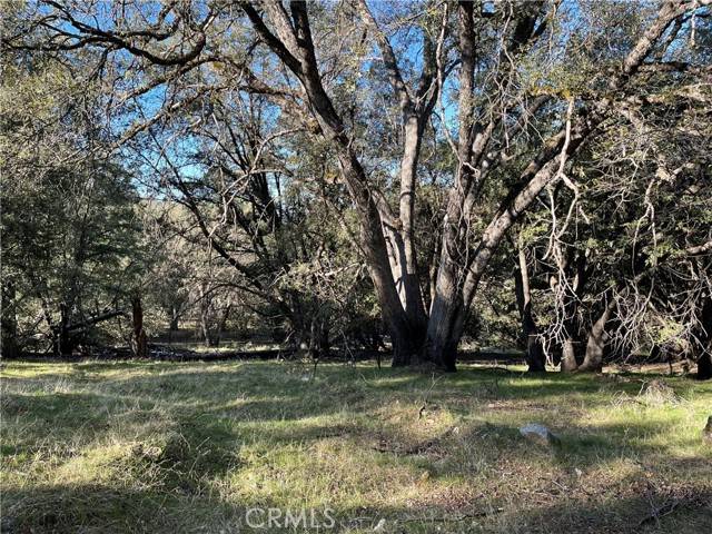 5 Shade Tree, Mariposa, CA 95338