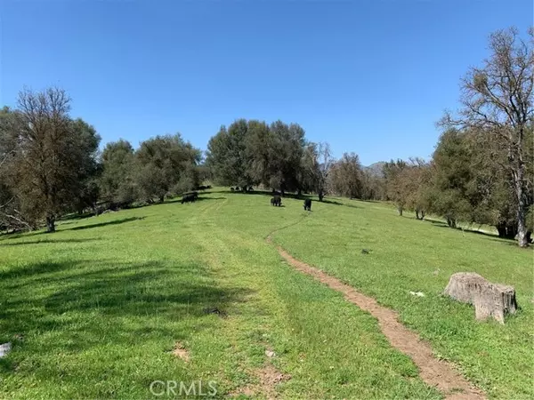 Mariposa, CA 95338,160 Digger Pine