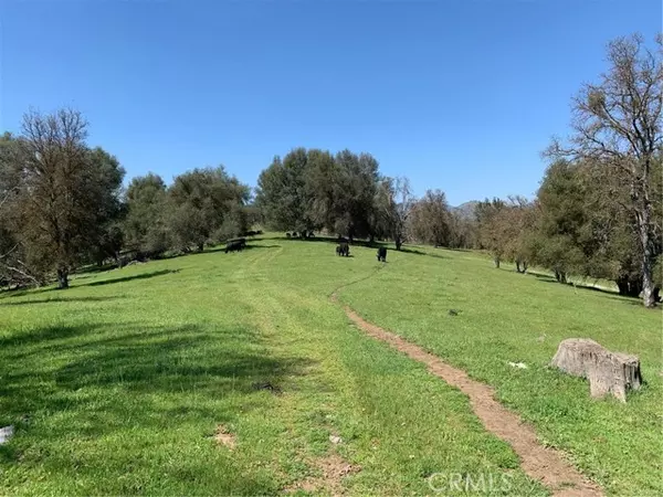 Mariposa, CA 95338,160 Digger Pine