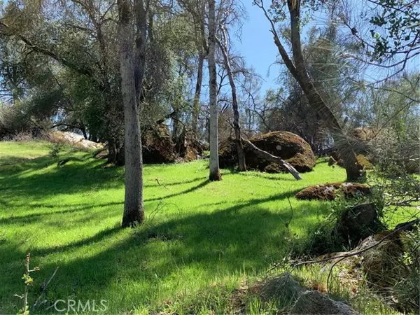 Mariposa, CA 95338,160 Digger Pine