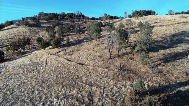 Mariposa, CA 95338,21 Bumguardner Mountain