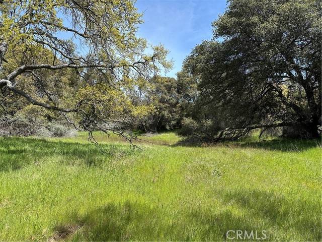 0 Hwy 49N, Mariposa, CA 95338